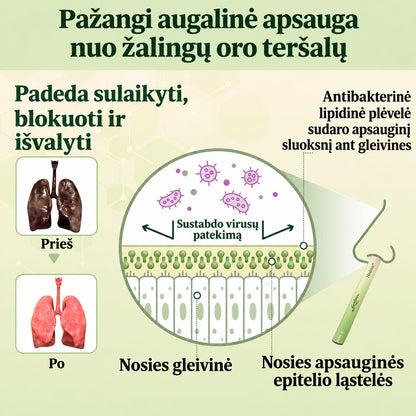 🎾 【Oficiali internetinė parduotuvė】Healrize® Vaistažolių gysločio plaučius valantis ir kvėpavimą lengvinantis inhaliatorius 🌿 (Kosulio malšinimas, gleivių skiedimas, dusulys ir rūkalių plaučių priežiūra) 🚚 Yra sandėlyje