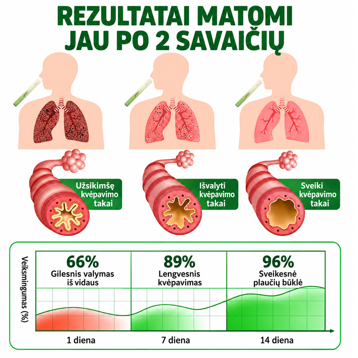 🎾 【Oficiali internetinė parduotuvė】Healrize® Vaistažolių gysločio plaučius valantis ir kvėpavimą lengvinantis inhaliatorius 🌿 (Kosulio malšinimas, gleivių skiedimas, dusulys ir rūkalių plaučių priežiūra) 🚚 Yra sandėlyje